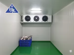 Mengupas Tuntas Cold Storage Freezer Room